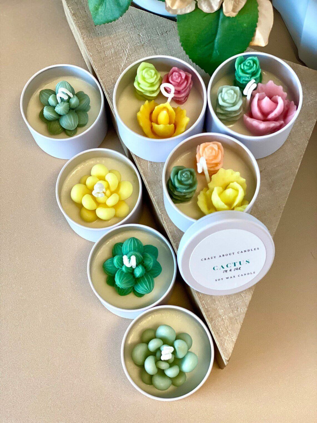 Cactus in a Jar Scented Candle - Handmade Aroma Bliss